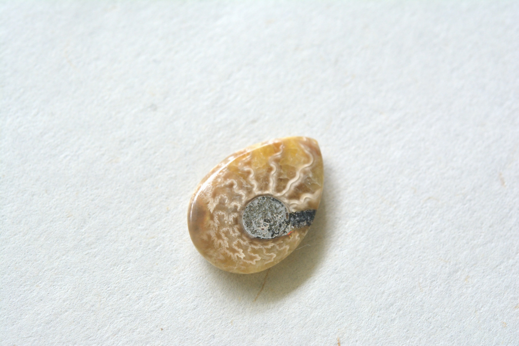 アンモナイト 化石【1】ルース・カボション（26.5×18mm）