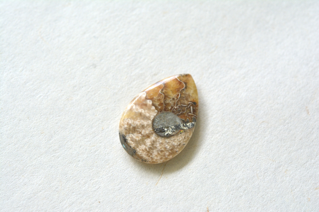 アンモナイト 化石【2】ルース・カボション（27.5×18mm）