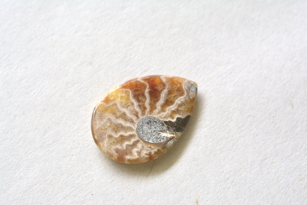 アンモナイト 化石【5】ルース・カボション（32×22.5mm）