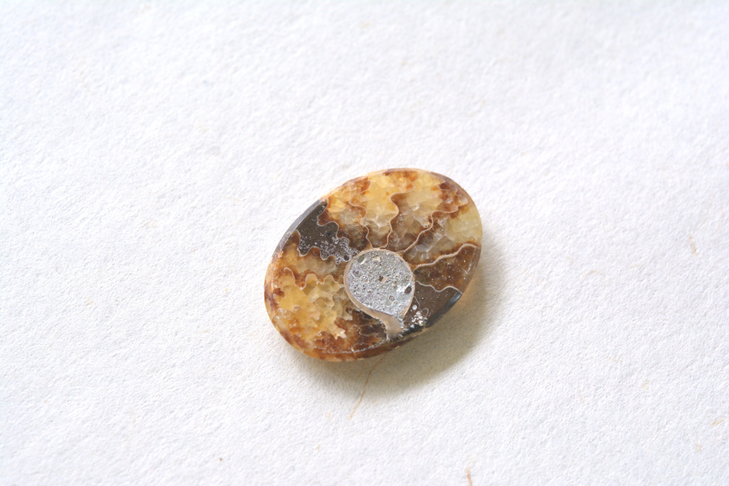 アンモナイト 化石【8】ルース・カボション（27×19.5mm）