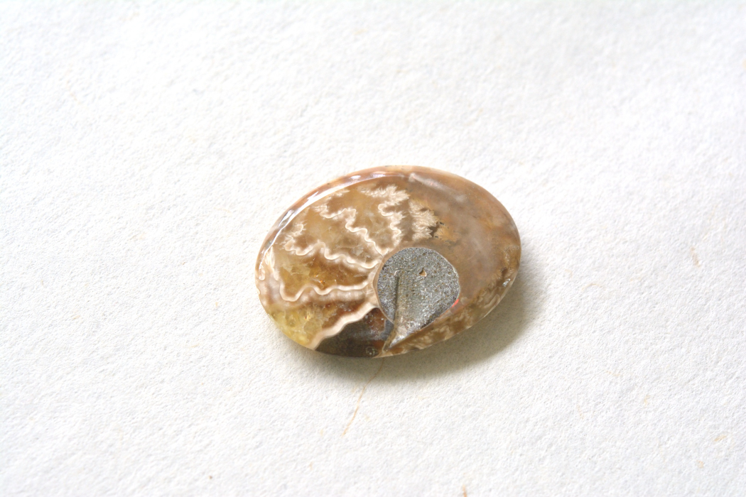 アンモナイト 化石【11】ルース・カボション（29.5×21.5mm）