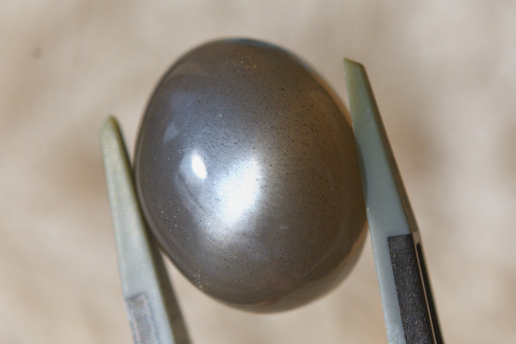 ブラックムーンストーン (キャッツアイ) 【5】天然石ルース・カボション（17.5×14mm）