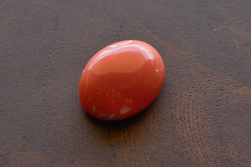 天然赤珊瑚【2】ルース・カボション　（14.5×11.5mm）