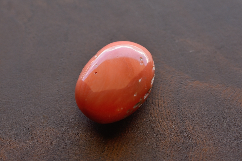 天然赤珊瑚【8】ルース・カボション （20.5×15.5mm）